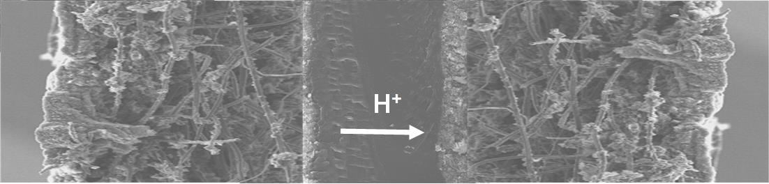 OH O - Pt e- e Formation of Pt (hydr)oxides H+