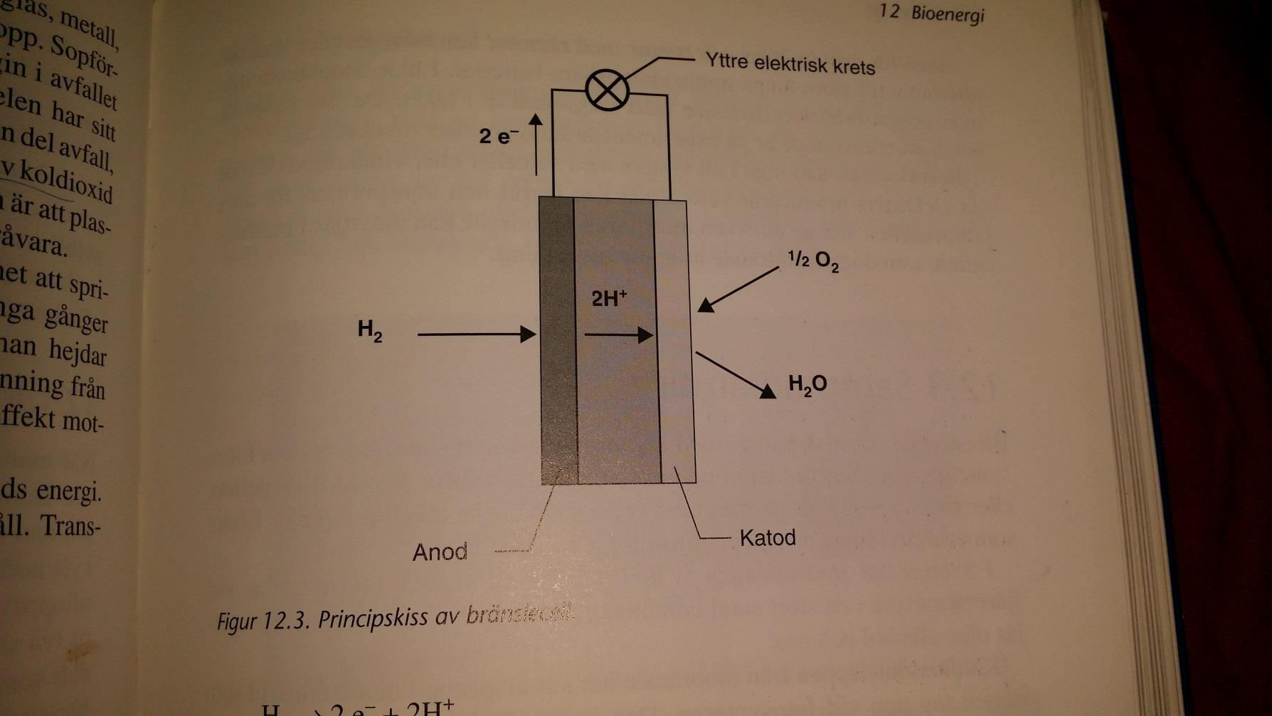 H 2 2e 2 H Bränslecell Elektroner som frigjorts vid anoden upprätthåller en elektrisk spänning