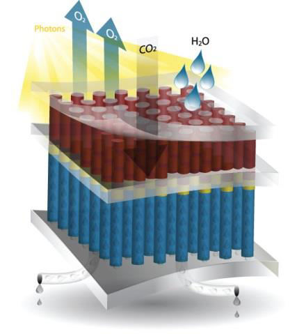 (artificial photosynthesis) Novel