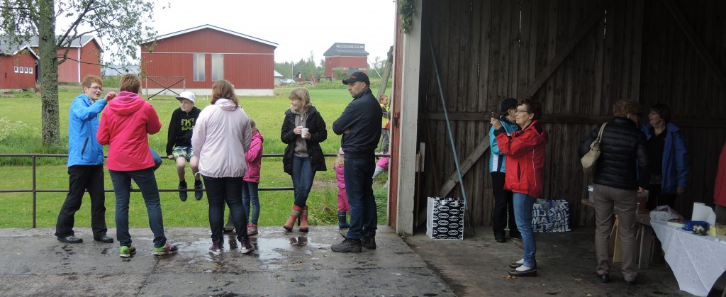 He va te johanni! (Det var den midsommaren) Resandet av stången har blivit den verkliga folkfesten och på kvällen orkar bara ungdomarna festa.