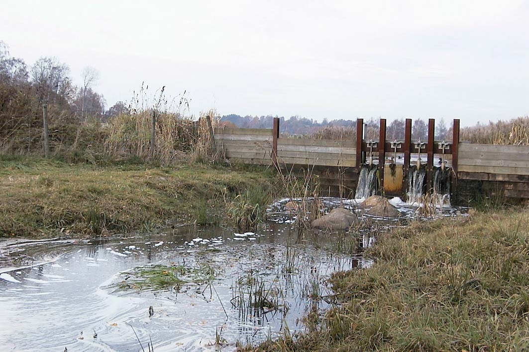 Bottenfauna en undersökning av bottenfauna i Göteborgs kommun 2005 Utförd hösten år 2005 av Medins Biologi AB, Alf Engdahl på uppdrag av Miljöförvaltningen,