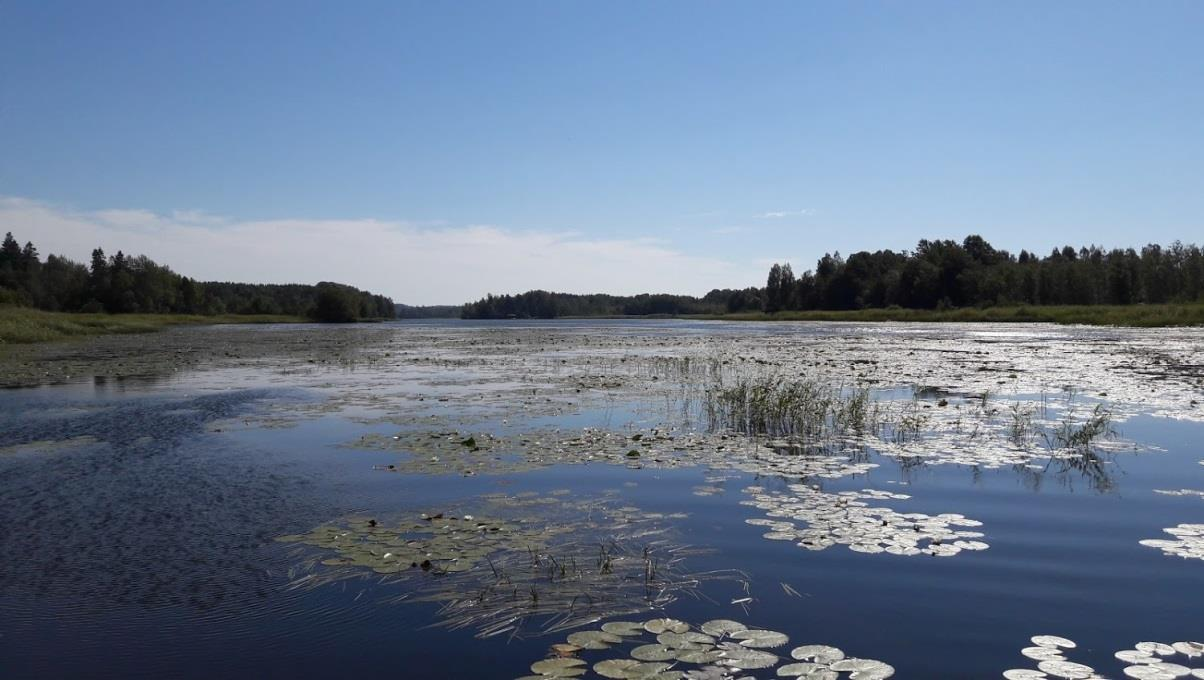 Hotbilder kan vara artförändring på grund av näringsberikning, förändrat siktdjup, fysiska ingrepp inklusive vattenståndsreglering mm.