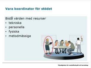 Koordinator för Stöd till inriktnings- och samordningsfunktionen a) Vilka aktörer kan vara koordinator för stödet till ISF?