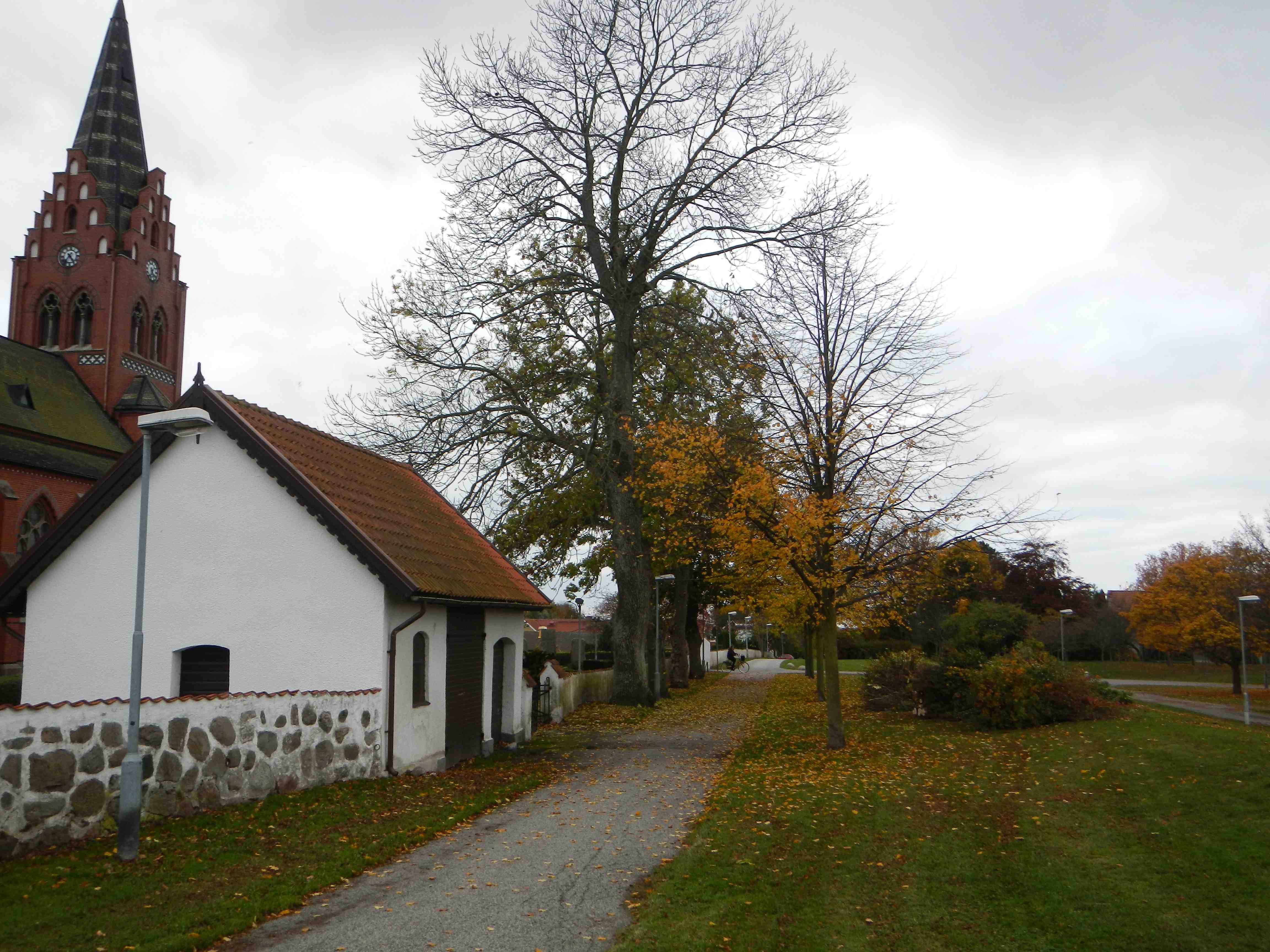 1 Tygelsjö prästgård Strax öster om Tygelsjö kyrka ligger en gammal park med många olika gamla lövträd. Parken är kraftigt igenväxt och liknar idag mer en liten skogsdunge.