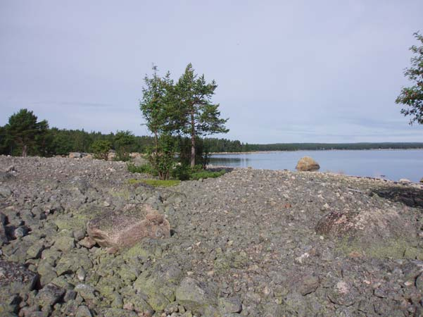 Naturreservat Naturvårdsförvaltare: Länsstyrelsen Kommun: Nordanstig Mittpunktskoordinat: