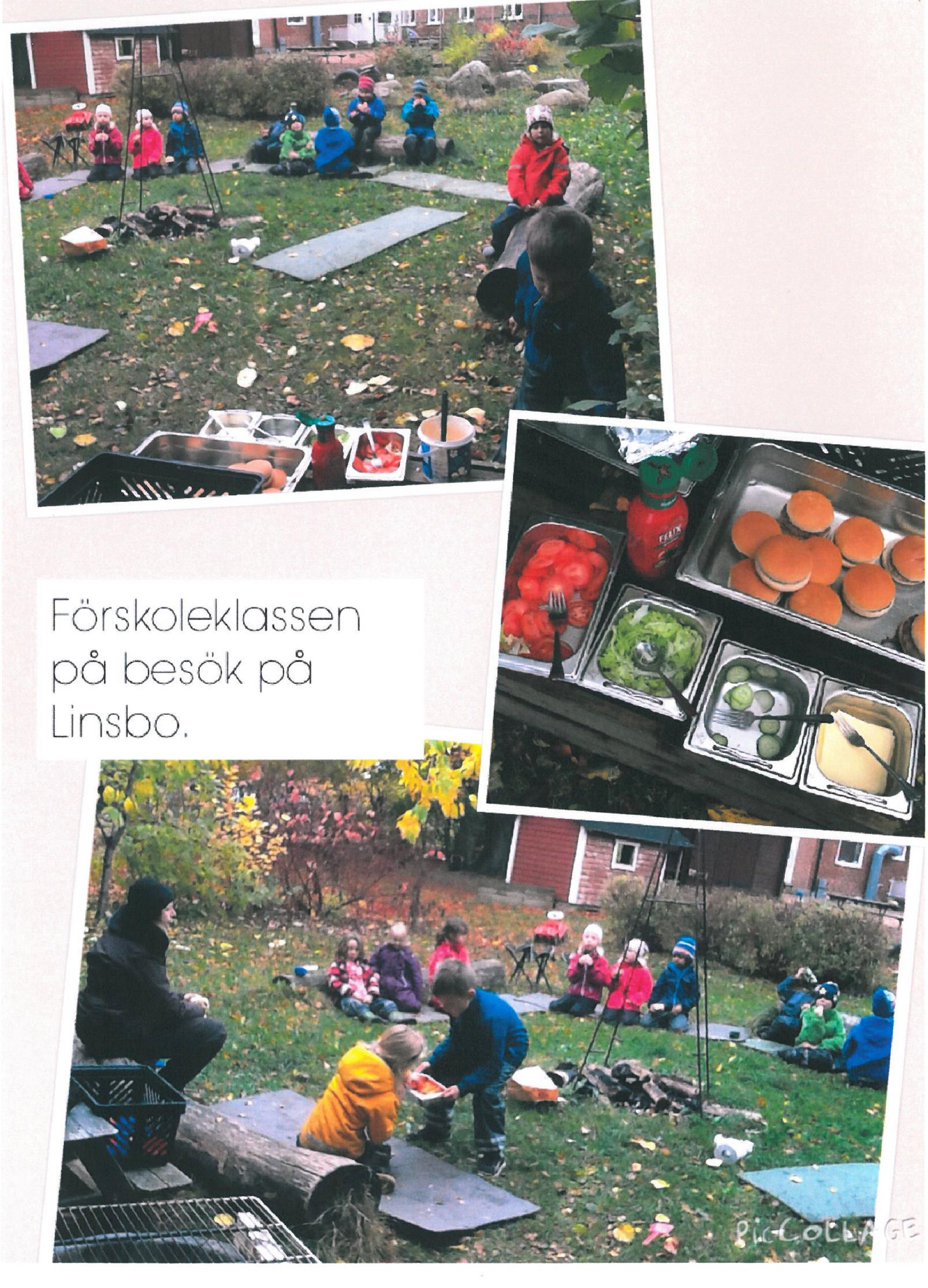 Förskoleklassen besöker Linsbo En väldigt fin höstdag fick vi fint besök på Linsbo! Förskoleklassen från Skabersjöskolan kom och hälsade på. Det var jättekul att träffa alla!