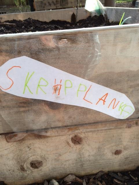 Vi ska vänta tills våren med att gräva upp den,