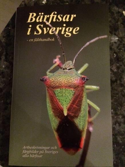Nere bland löven är den inte så lätt att upptäcka