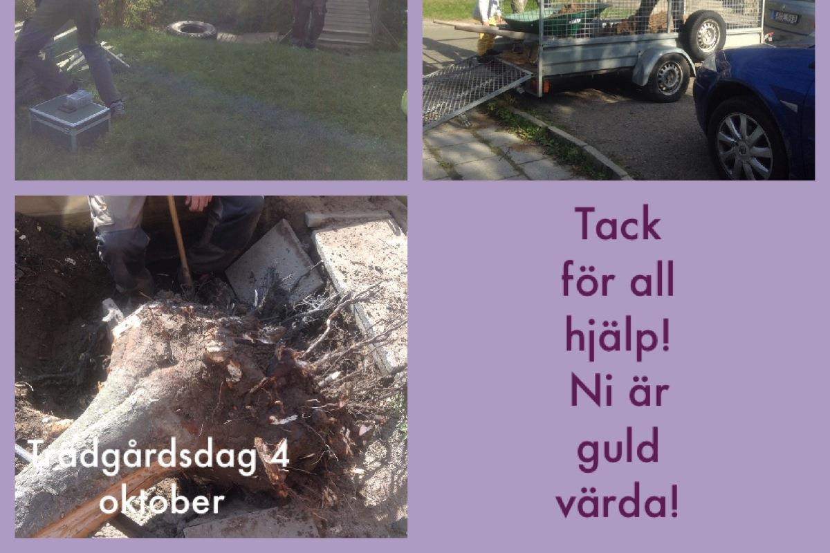Vi fick även sand påfyllt i våra sandlådor och träribbor påskruvade på vår bro så barnen inte halkar vid blötväder.
