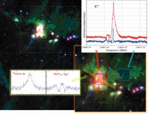 Forskare från Lunds universitet har med satellitdata visat på ökad biologisk produktion mellan 1992 och 2008 i en våtmark på mycket hög latitud på Grönland, relaterat till ökad temperatur.