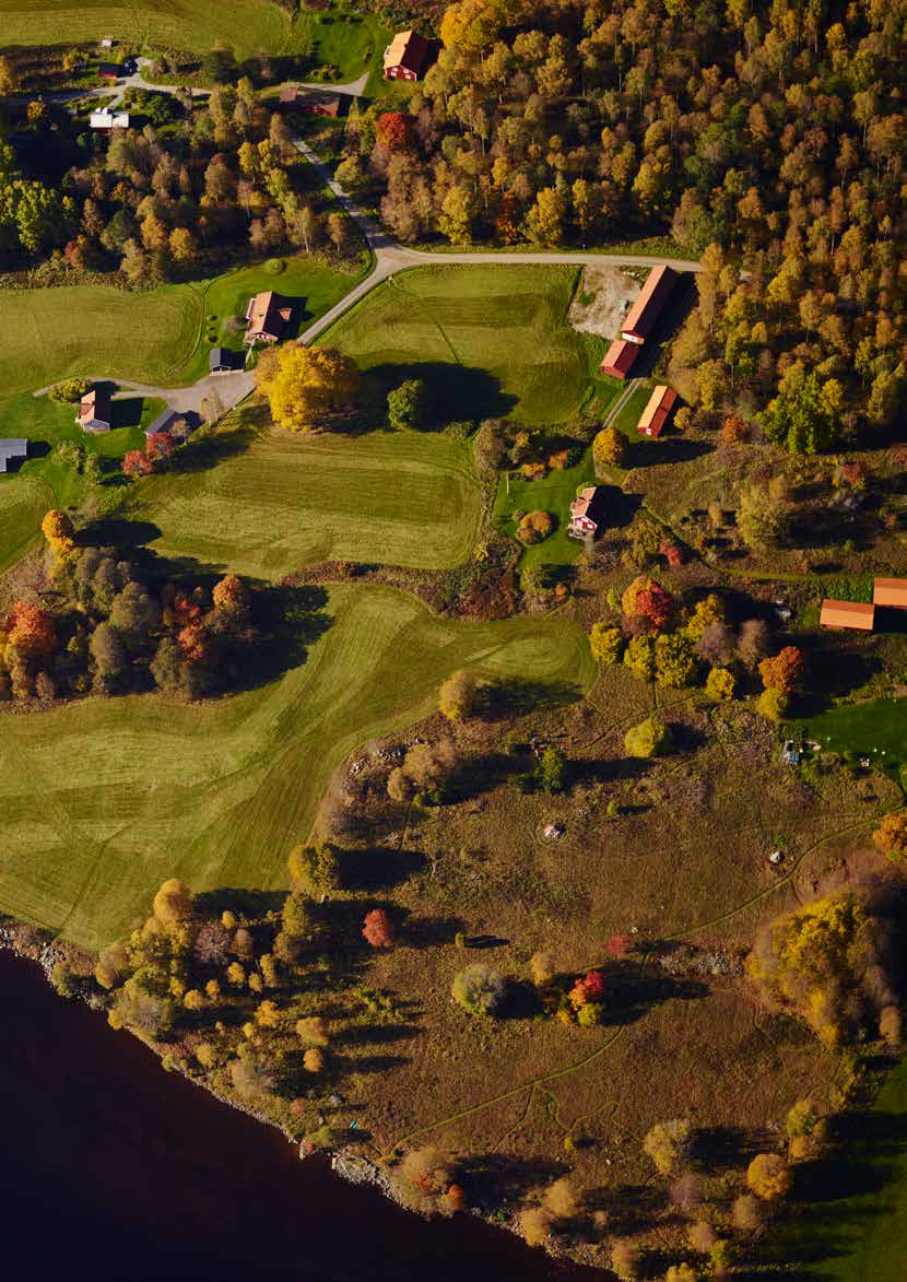 Aktuellt Bland engagemang för landsbygden, ostkaka och drivna jord- och skogsbrukare.