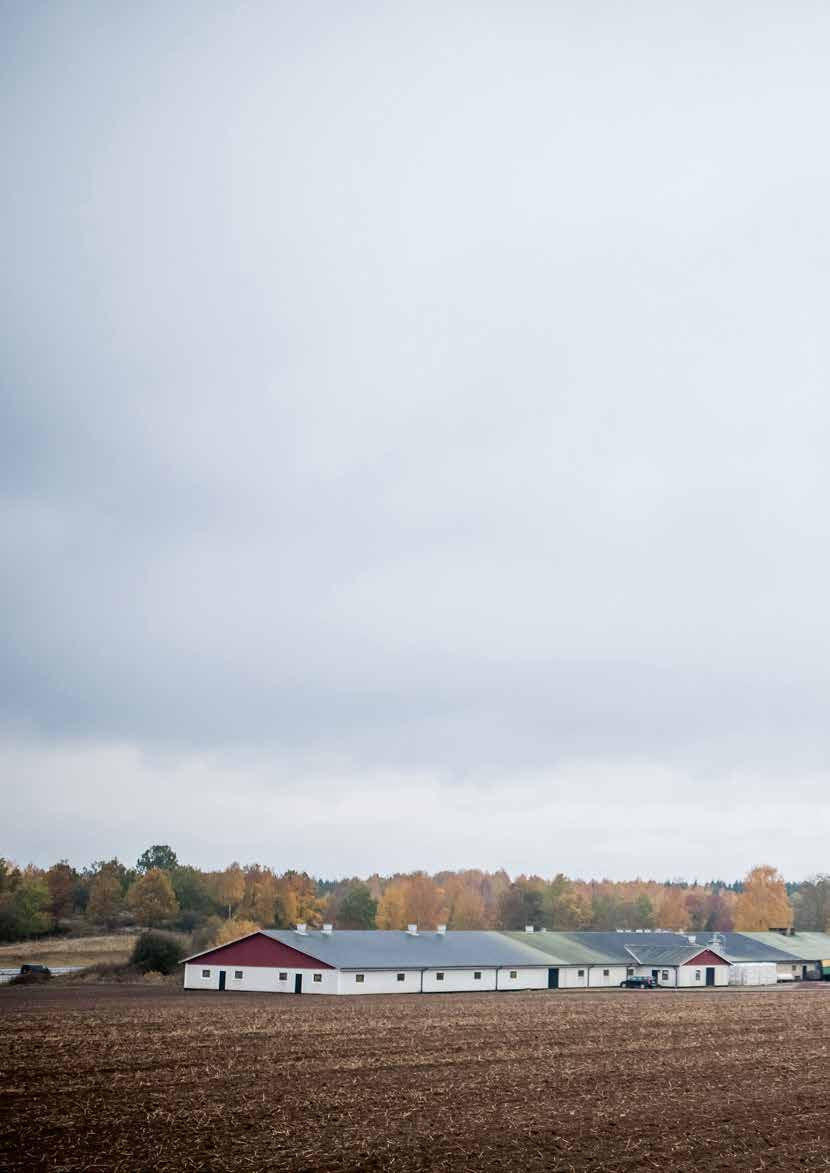 Tema Investera: Med engagemang bortanför nyckeltal Landshypotek Bank är jord- och skogsbrukarnas egen bank. Banken är engagerad i näringen och i sina kunder även långt förbi aktuella räntesatser.