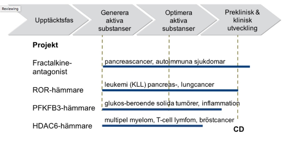 Läkemedelsutveckling Kancera AB bedriver utveckling av cancerläkemedel som tar sin start i ett nytt behandlingskoncept och avslutas med en patentsökt läkemedelskandidat som erbjuds till försäljning