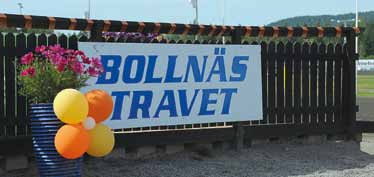 Edel foder Havre, mineraler saltstenar tillbehör mm.. hitta hit Travbanan är belägen, kilometer från Bollnäs efter riksväg 0 mot Alfta Edsbyn.