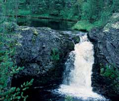 Så ser Urvatten och Naturvatten ut och så fungerar de Naturvatten i moränlandskap är ofta breda och grunda och slingrar sig fram. Rickleån, Västerbotten.