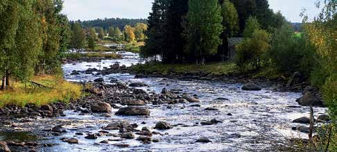 En naturlig bäck eller å rinner nästan aldrig helt rakt (titta gärna på en karta). Det gör ofta kulturvatten, eftersom många rätats för att till exempel få ett snabbare vattenflöde.