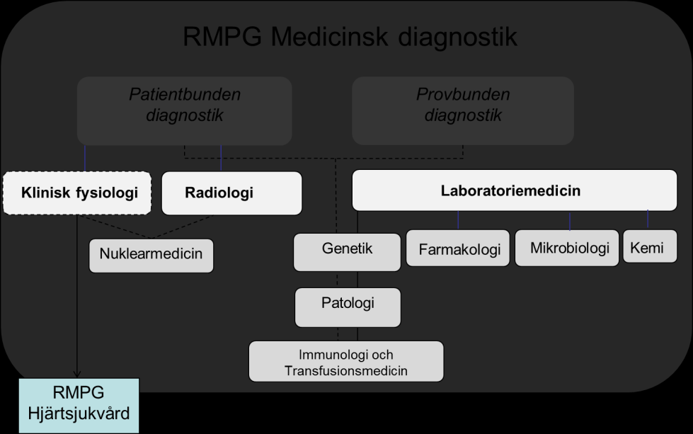 6 RMPG Medicinsk diagnostik inom den sydöstra sjukvårdsregionen - ett övergripande råd för värdeskapande användning av medicinsk diagnostik.