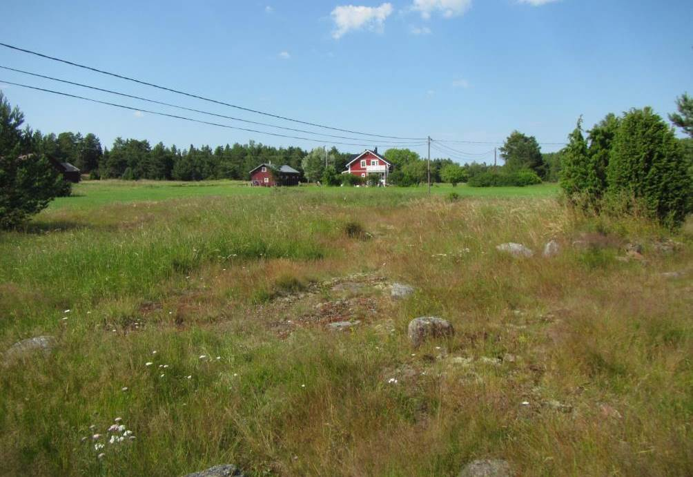 10 Figurens beteckning Typ Naturtyper Beskrivning Värdeklass C En viktig biotop för naturens mångfald (torrängar); En värdefull kulturbiotop Kalktorrängar, akut hotad (CR) naturtyp;