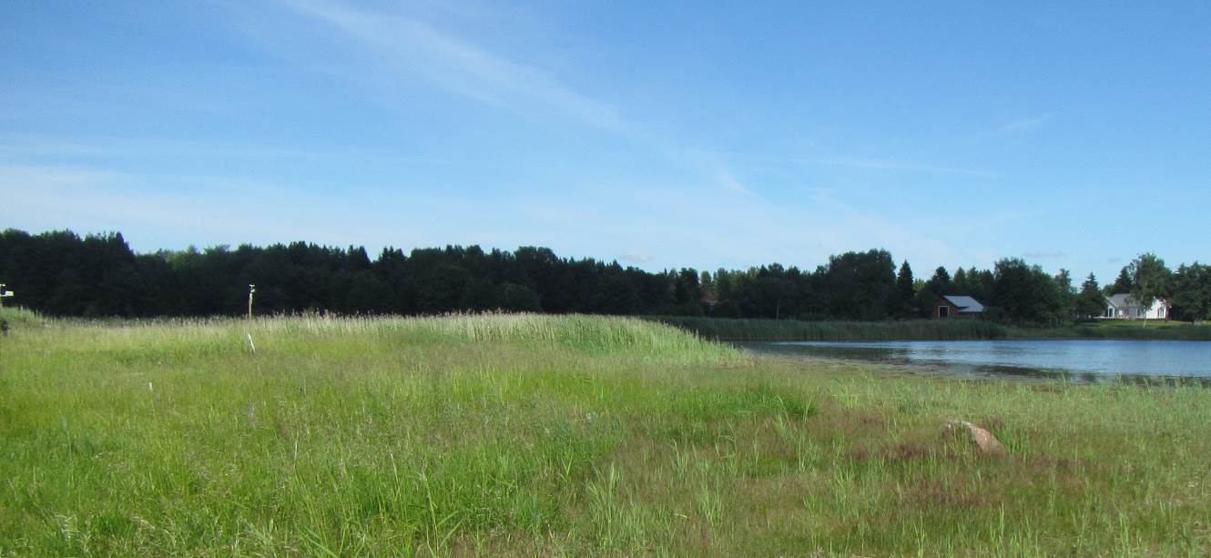 9 Figurens beteckning Typ Naturtyper Beskrivning Värdeklass B En viktig biotop för naturens mångfald (havsstrandängar) Högväxta havsstrandängar, starkt hotad (EN) naturtyp; Vassar Den del av