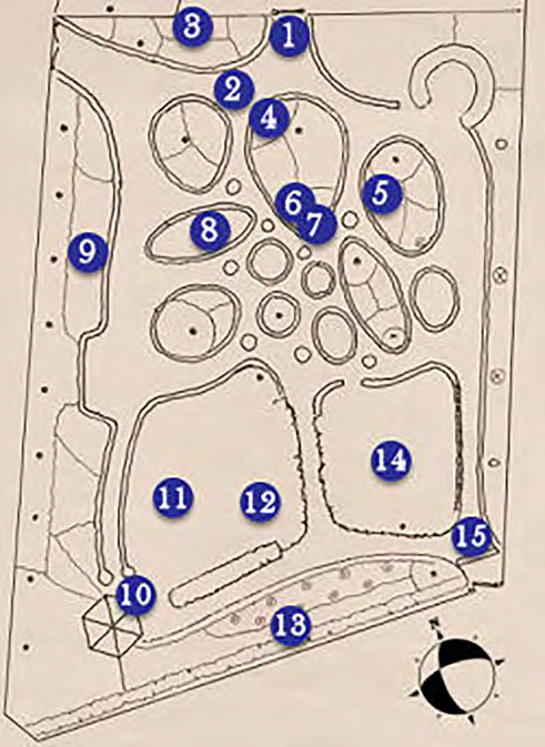 Paul Jönska gården Trädgården växter i de olika kvarteren Alla kvarter inramas av buxbom Kvarter A: Lindberså, Bohuslind, Tilia platophylla Syren Alm Ros Staffa, Vit julros, Helleborus.