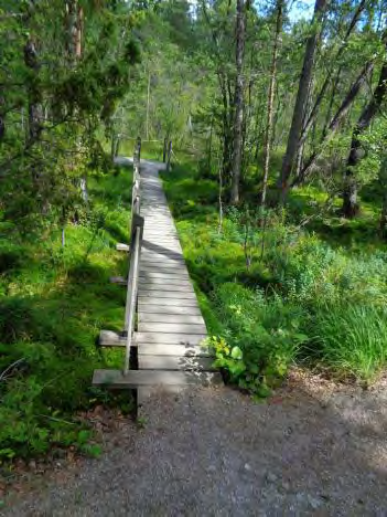 Spången bör breddas till 1,5 m för så rullstol får plats (se exempel på däckspång bild 21). Även vändutrymmet i slutet på spången bör breddas, så att en rullstol kan vända.