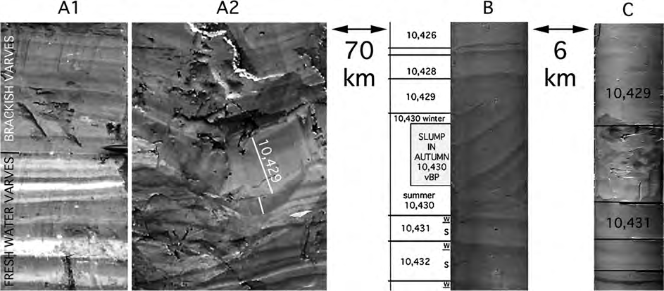 Author's personal copy N.-A. Mörner / Quaternary International 242 (2011) 65e75 73 Fig. 11.