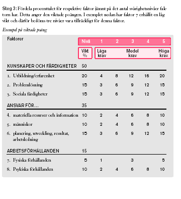 Figur : Sammanfattande beskrivning av Analys Lönelots Källa: Analys Lönelots, se Harriman och Holm (2003).