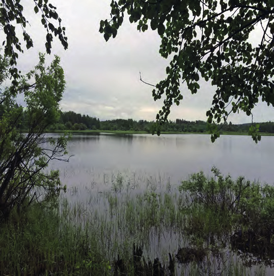 Skogsfastighet i Övermorjärv alla ålderser. Inga byggnader medföljer. Fastigheten är belägen strax norr om Morjärv.