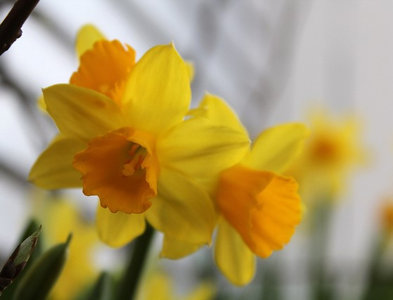 PÅSKEN Tisdag 11 april 14:00 Tisdagsträffen me