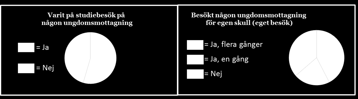 25 20 15 10 5 0 Deltagarnas födelsenation 27 2 2 2 30 25 20 15 10 5 0 Föräldrarnas