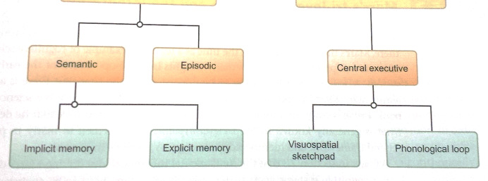 och neurologi Lingvistik och datalogi Datalogi och neurologi 7 8 Global integrering Interteoretisk reduktion Försöker definiera relationen mellan Olika nivåer av förklaring Olika nivåer av