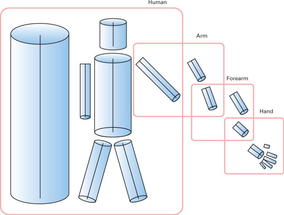 Beräkningsnivå Visuella systemet ska ge en 3D representation av den visuella omgivningen.