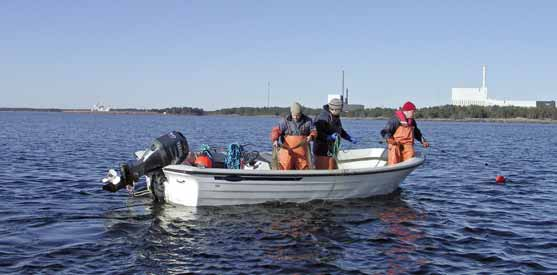 Antal fiskar per nät och natt 1 Totalfångst av karpfiskar vid Mönsterås 1 3 1 5 5 5 5 Vållö Svartö Ödängla Vinö Övriga Mört Strömming Sarv Björkna Abborre 1 Löja Id Sarv Björkna Mört 1995 199 1997