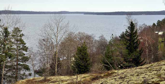 För höga halter kväve och fosfor Gåsfjärden är en av de större och ganska avskurna havsvikarna i länet där syrebrist i bottenvattnet är mycket vanlig.