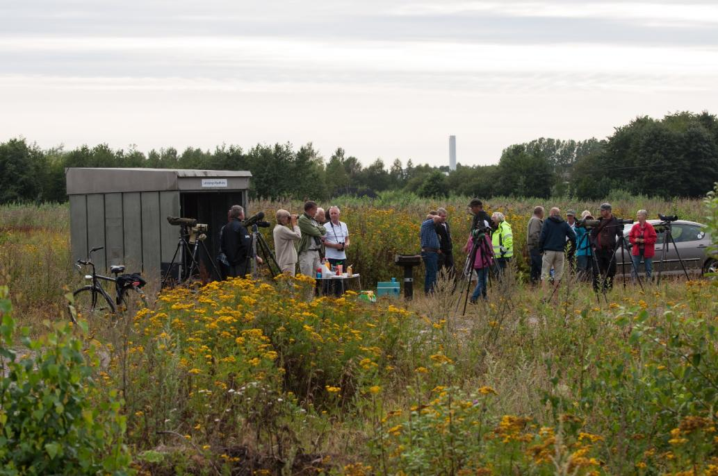 Höstupptakt vid kuren Text: Lennart Jonsson Foto: Lennart Jonsson Flera skådare stannade en god stund efter det att grillen kallnat och pratade.