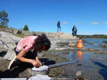 Utbildningsplats Gålö Östersjön Blåstångsudden Gålö havsbad & camping Upptäck kulturskogen Utbildningsplats skärgården stig ca 1 km LaGuide, information i