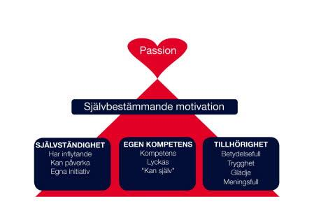 SYFTE OCH SYNSÄTT Syfte Syftet med Upplandslagens verksamhet är att utveckla och utbilda unga spelare samt skapa utgångspunkter för innehåll i övrig verksamhet i Upplands FF.