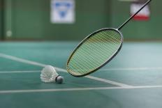 Rättviks Badmintonklubb Rättviks Badmintonklubb ordnar prova-på-badminton. Fre 3/3 kl. 13-16 i Sporthallen. Racket och bollar finns att låna.