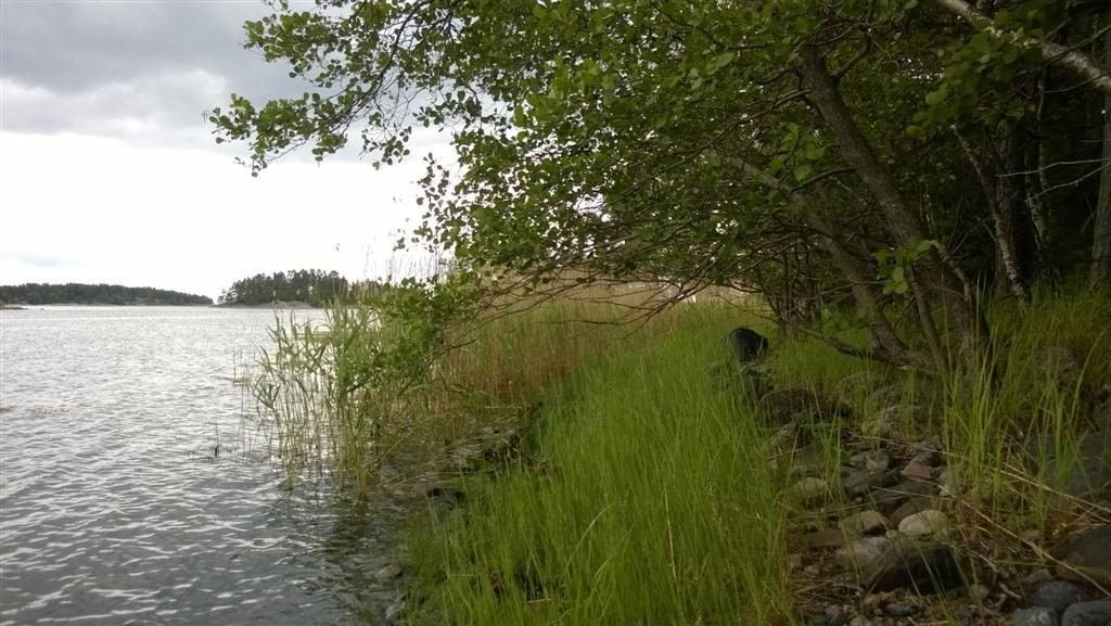 3.2 Natur och landskap Områdets naturförhållanden är typiska för yttre skärgården.