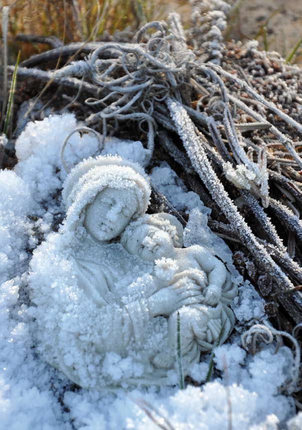 Församlingsblad vinter