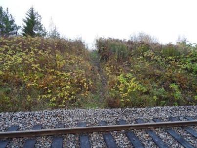 Komfortbrister i fordonsbeståndet (J12) Viskadalsbanan trafikeras i huvudsak med tåg byggda tidigt 1990-tal vilket i kombinationen med banöverbyggnadens kvalitet på sträckan Varberg-Skene innebär en