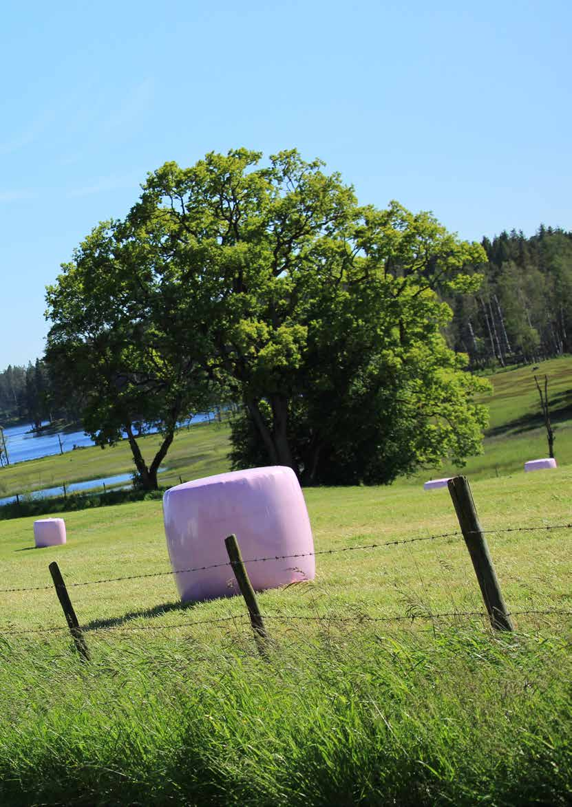 Verksamhetsberättelse och årsredovisning