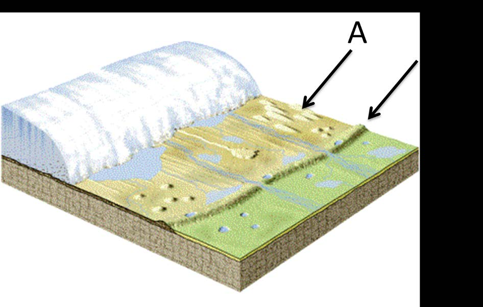 Sid 10 (16) Fråga 5. Bilden visar en avsmältande inlandsis. a) Vad kallas det geomorfologiska objekten som pilarna pekar på och som är mer än 100 meter stora (2p)?