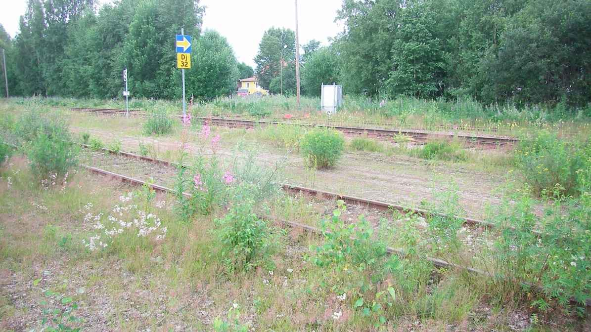 Figur 12. Gråbinka i varma miljöer. Gråbinka är allmän i järnvägsmiljö men bildar sällan stora bestånd.