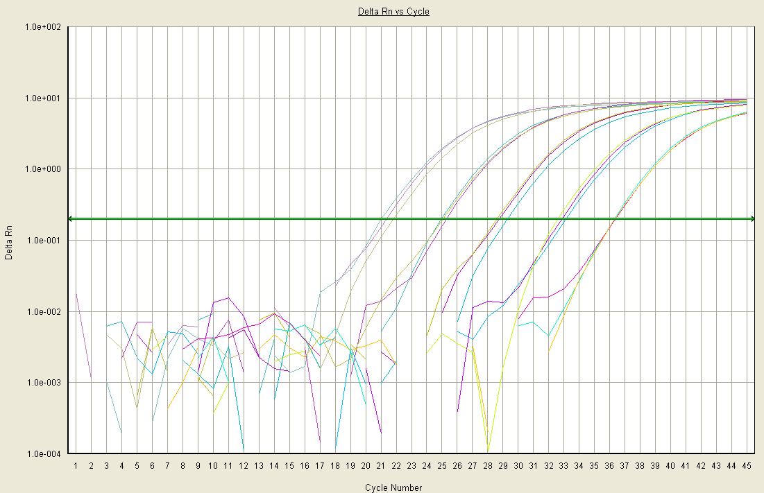 Figur 3. Exempel på en amplifieringsplot för fem olika spädningar av standarden. Analys av fältprover En första screening av fältprover har genomförts.