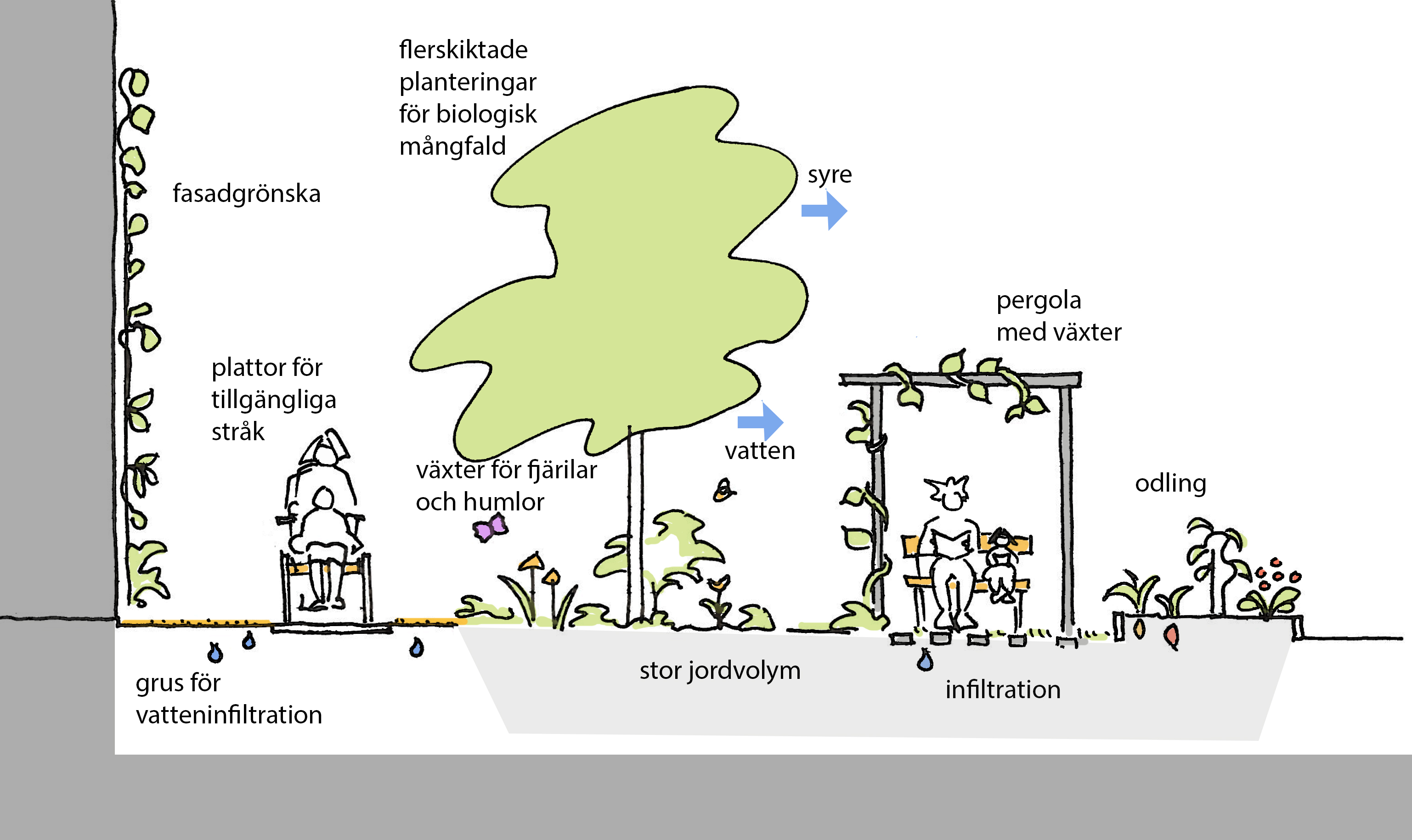 Markplanering, Tyréns Landskapsarkitekter Bostadshusen ligger längs en gångfartsgata, där trafiken sker på de gåendes villkor.