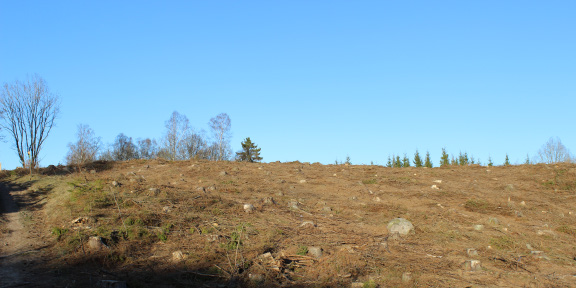 vara komplett. Den ska snarare ses som en framställning över stormskador som finns omnämnda i olika källor.