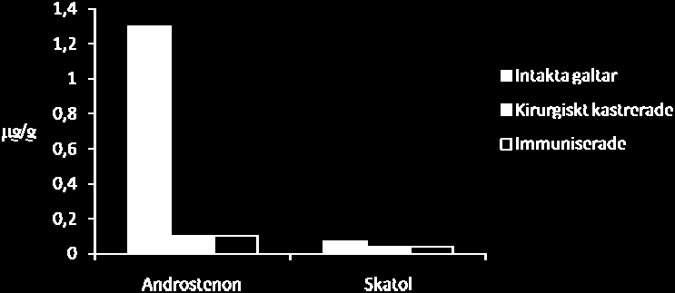 GnRH- immunisering Att använda sig av immunisering för att minska ornelukt har studerats länge och många olika varianter har prövats med varierande resultat.