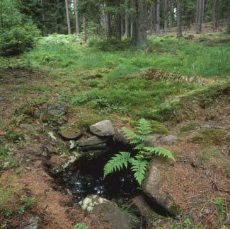 Groundwater