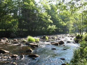 km2) Coastal waters